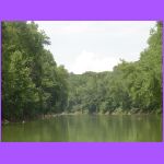 Green River 3.jpg